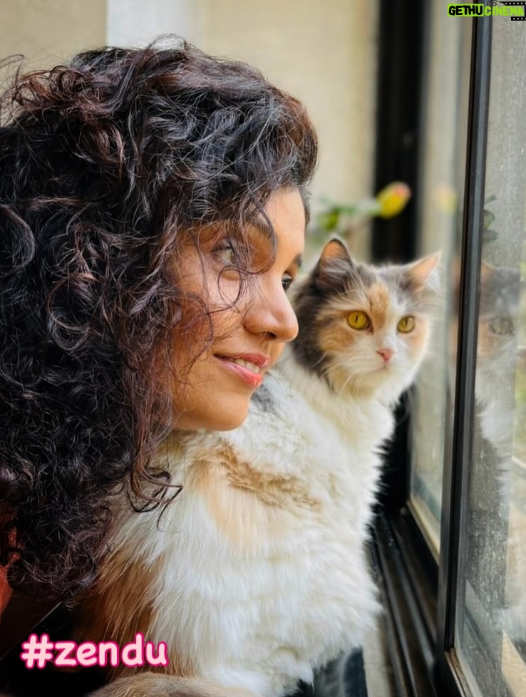 Mukta Barve - 23.9K Likes - Love of my life ZENDU.
Embroidered by me 😻

#zendu #DIY #cats_of_instagram #love #catlover #catlove #embroidery #madewithlove #mycat #turkishvancat #calico #handmade