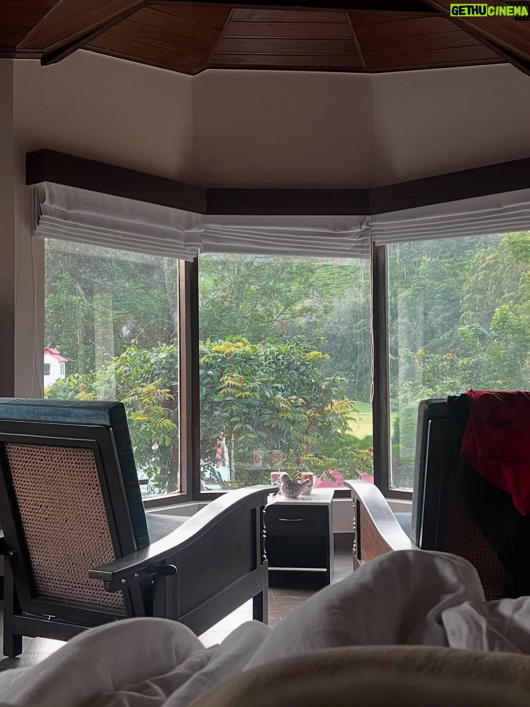 Mukul Richards - 1K Likes - Revisiting Wellington felt like opening an old diary 📔 every corner filled with memories, wrapped in greenery, silence, and peace. 🌿 All I could whisper back was… you are beautiful. 💚