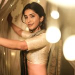 Nabha Natesh