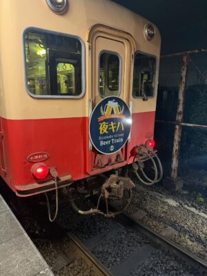 Nagisa Hayakawa Instagram - .
電車の中でお酒飲めるてやつに行ってきた!
お酒が飲み放題でビールに日本酒ものんだよ〜
花火もして夏できた☺️
#夜キハ