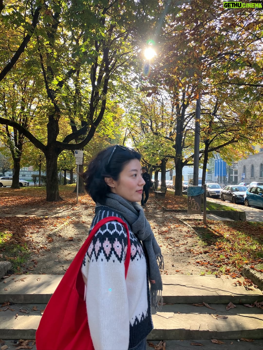 Nam Ji-hyun - 74.3K Likes - 생일 축하해주신 모든 분들 감사합니다🎉🫶🥳
일상 사진을 드리고 싶은데
올해는 전부 드라마촬영 일상밖에 없어서
작년 미공개 뮌헨 사진을 준비해보았습니다🤭
모두 환절기니 감기 조심하시구 건강하세요💙💙💙
