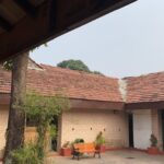 Nandini