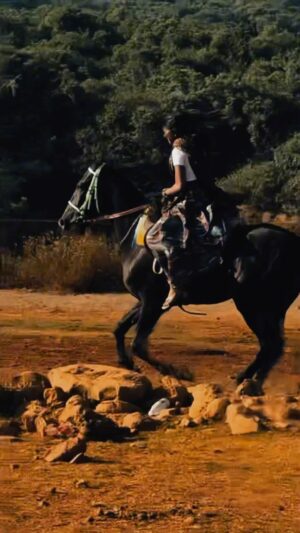 Nandini Padmukh Instagram - Horse riding is just love šš„³āØ
#horseriding #horsepower #horserider #horseridinggirl #rhythmic__girl #nandinipadmukh #foryou #foryoupage #trendingreels #viral