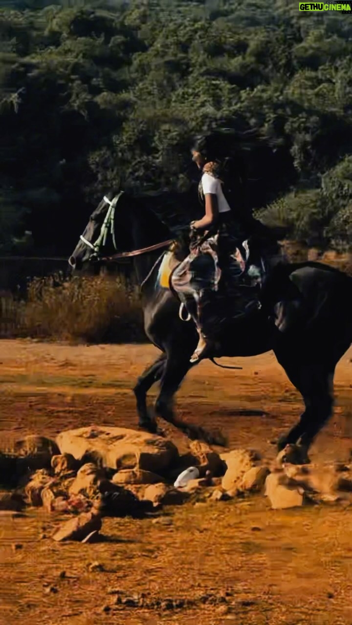 Nandini Padmukh - 108 Likes - Horse riding is just love 😍🥳✨

#horseriding #horsepower #horserider #horseridinggirl #rhythmic__girl #nandinipadmukh #foryou #foryoupage #trendingreels #viral