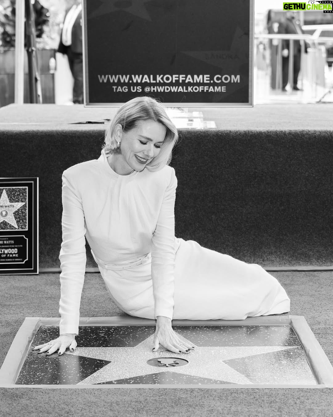 Naomi Watts - 108.9K Likes - Oh my stars! This was such a special day. My heart’s still in my throat. Thanks for all the love ⭐️

Styling: @jeanannwilliams 
Hair: @officialdanilohair 
Makeup: @marywilesmakeup 

PC: @imagerybyoscar / @hollywoodchamberofcommerce / @wattsupphoto 

@hwdwalkoffame 
@stargirl_stuff