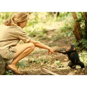 Natalie Portman Instagram - Jane Goodall was my ultimate hero- as a scientist breaking new ground, as a woman breaking all expectations, and as a fierce voice for animals and our planet. I am heartbroken that she is no longer with us, but her life’s work endures and inspires me to treasure what our mothers gave us, and what Mother Earth gives us, to be wild and not be limited by anyone’s expectations, to be patient and observe carefully as a religion, and to love deeply madly and ferociously our fellow beings on this planet.