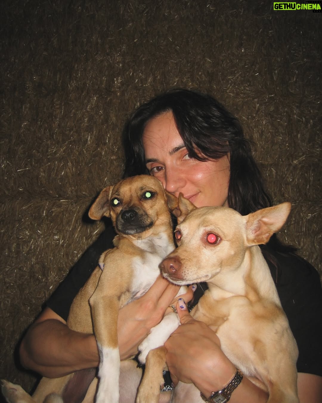 Nathalie Odzierejko - 199.8K Likes - Cette année Lola a eu 10 ans, moi 40, on a fêté les un an de Gigi mais ça fait aussi un an qu’on est ensemble avec mon copain. Tout est carré en 2025 💟 
( purée j’ai oublié de flouter son visage sur la 5eme )