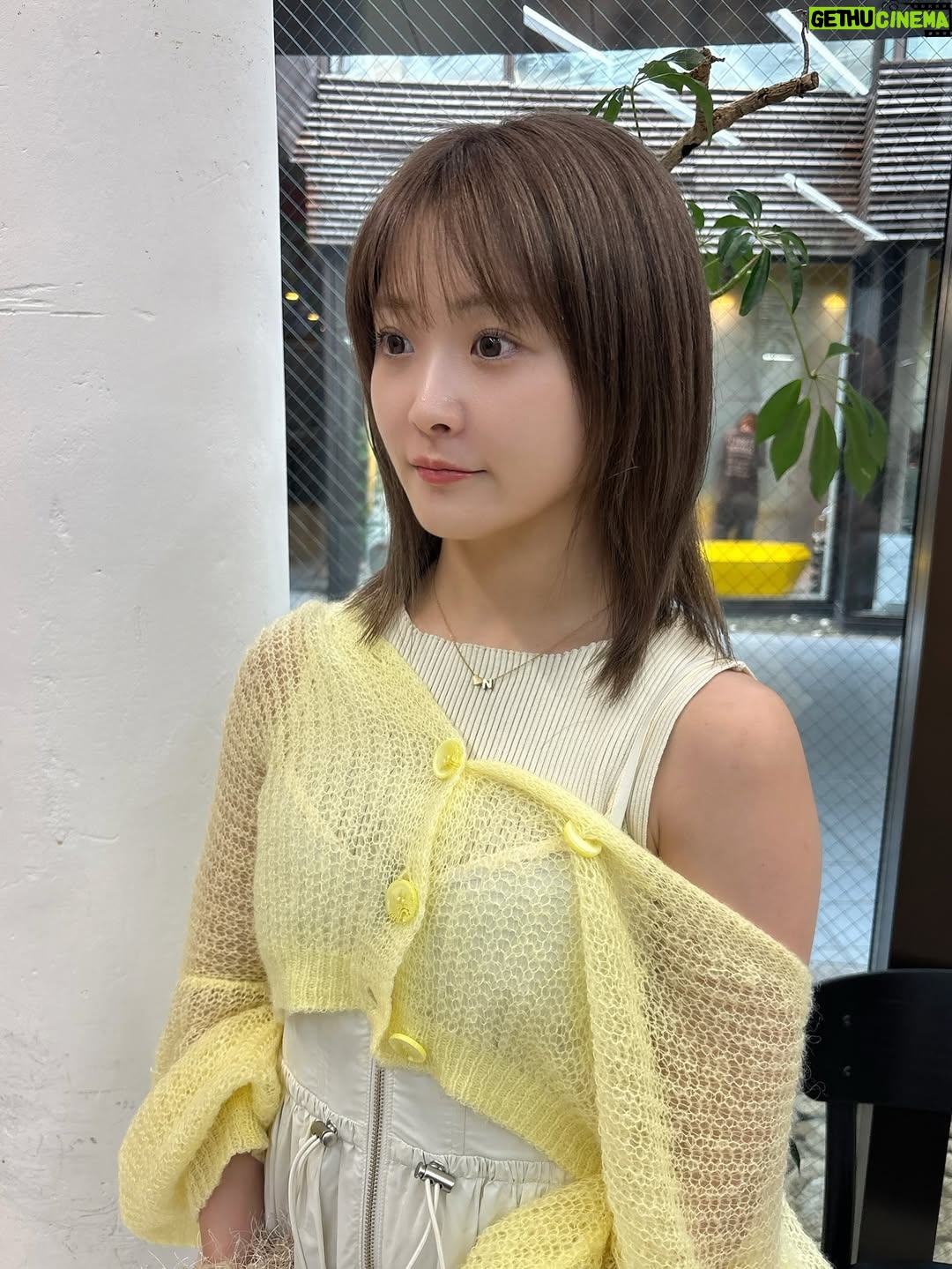 Natsumi Takagi - 8.2K Likes - 色落ちしてた髪の毛、暗く染めてきた💛
今日の新潟大会は、まだ色落ちしてない暗い髪色を見てもらえる🫶
どうかな〜🥰
楽しみにしててね〜✨

カラーカット💇‍♀️
@hase_short