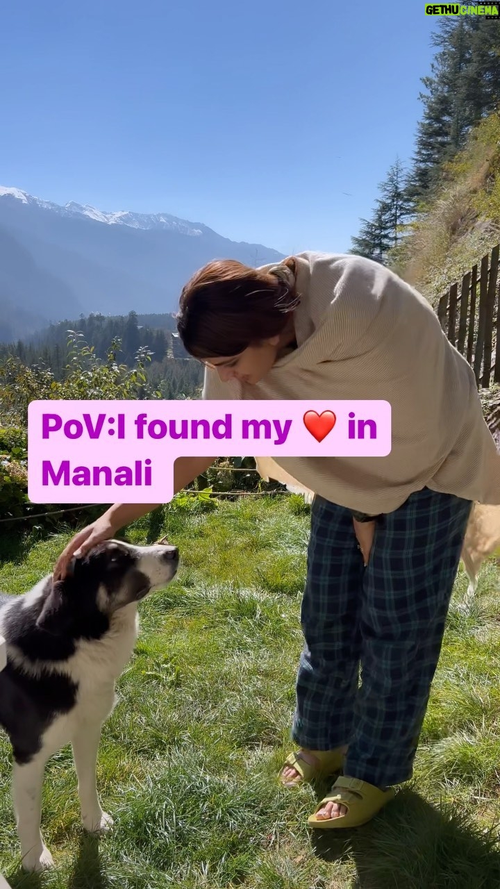 Neha Wadhawan - 2.4K Likes - The road to my heart is filled with 🐾 prints.
.
.
.
.
.
#manali #doglover #dogs