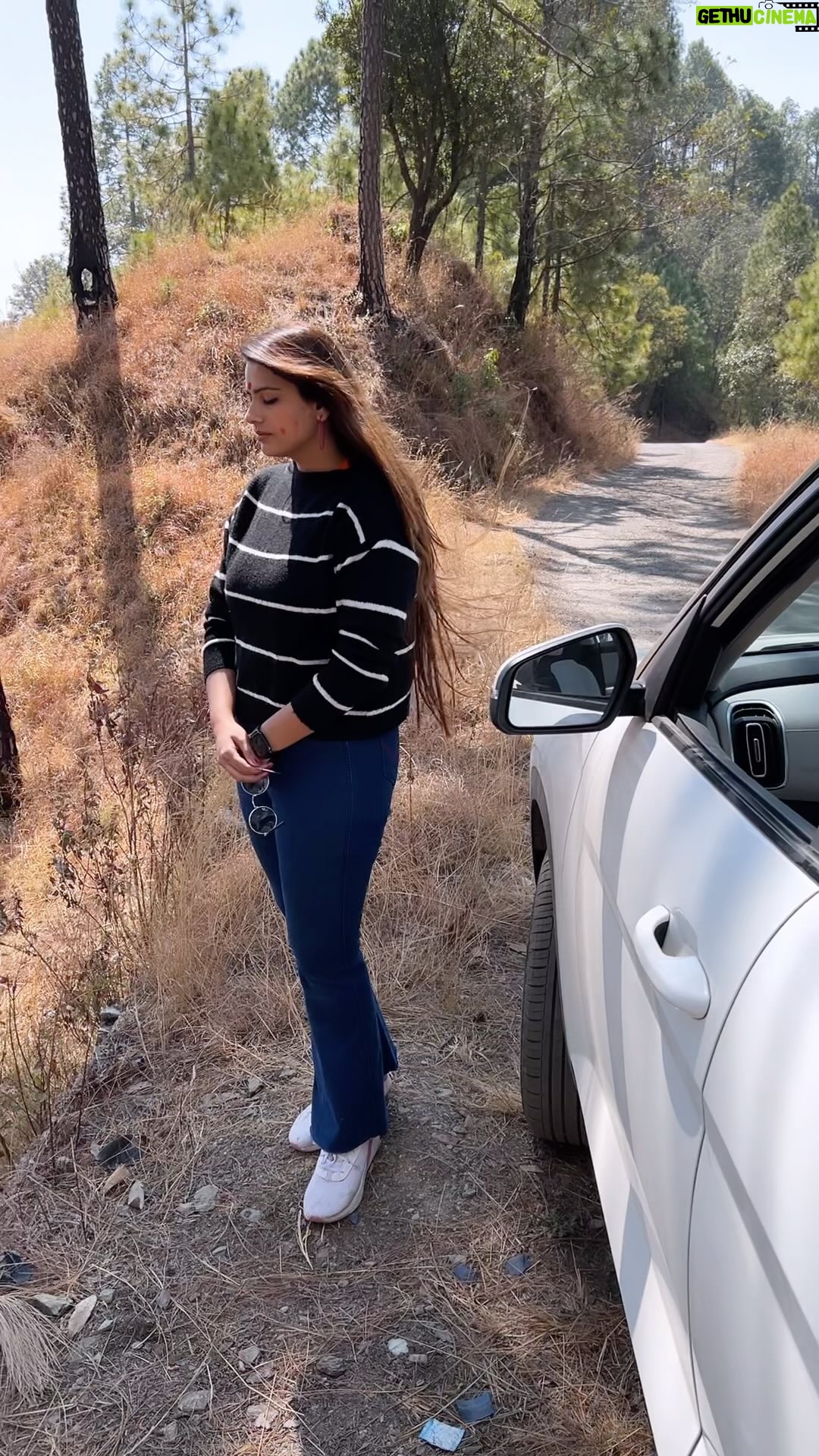 Neha Wadhawan - 1.3K Likes - Lejaye Jane Kaha 😀
.
.
.
#naturelovers #jungle #binsar