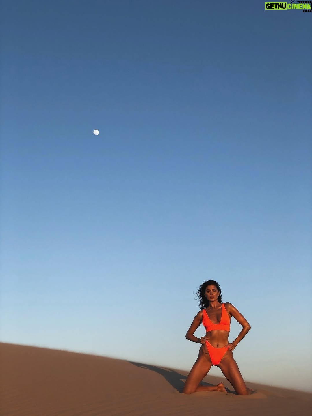 Nicole Lynn Williams - 43.9K Likes - In between the crazy mornings, toddler tantrums grey roots, broken nails, the dirty pajamas all day, and kids play dates, I have to remind myself at times……she’s still in there! 🤗😅