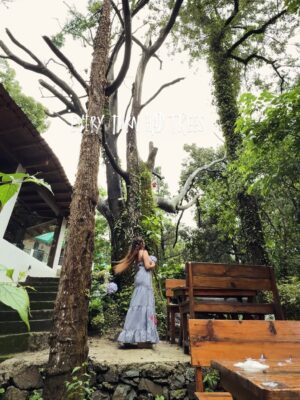 Niharika Malik Instagram - Not just a place, but piece of me now ✨
📍 @moustachescapes
#naukuchiatal #explore #explorepage #travel #travelphotography #travelblogger #beautiful #naturephotography #nature #couple #photography #moustacheescapes #love