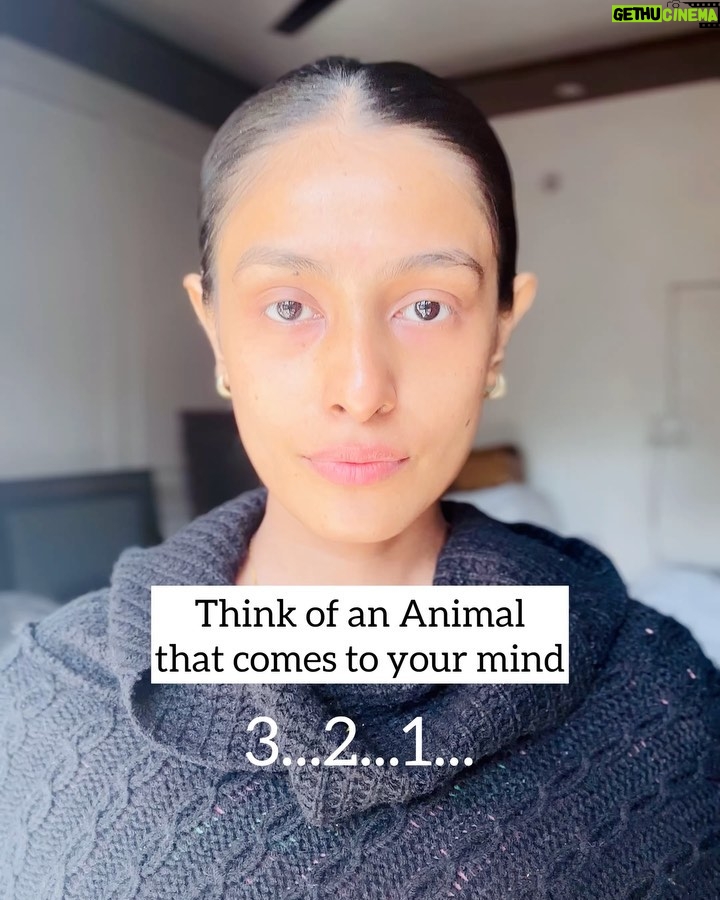 Nikitha P Khatri - 1.2K Likes - ‼️Save Post‼️Tag someone who need to play‼️
🔔Results in here🔔
1. The 1st Animal you chose is actually what you think about your self!
2.The 2nd Animal you chose is what others think of you.
3.The 3rd Animal you chose is what you actually are deep inside in reality.

i chose 1.Horse , 2.Lion , 3.Dog when i played it for the 1st time and wierdly it seemed so true to me...

What animals did you choose?🥰
Let me know in the comments below BUBs❤️