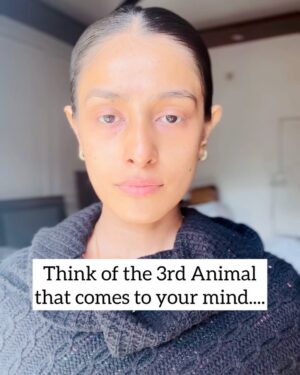 Nikitha P Khatri Instagram - ‼️Save Post‼️Tag someone who need to play‼️
🔔Results in here🔔
1. The 1st Animal you chose is actually what you think about your self!
2.The 2nd Animal you chose is what others think of you.
3.The 3rd Animal you chose is what you actually are deep inside in reality.

i chose 1.Horse , 2.Lion , 3.Dog when i played it for the 1st time and wierdly it seemed so true to me...

What animals did you choose?🥰
Let me know in the comments below BUBs❤️