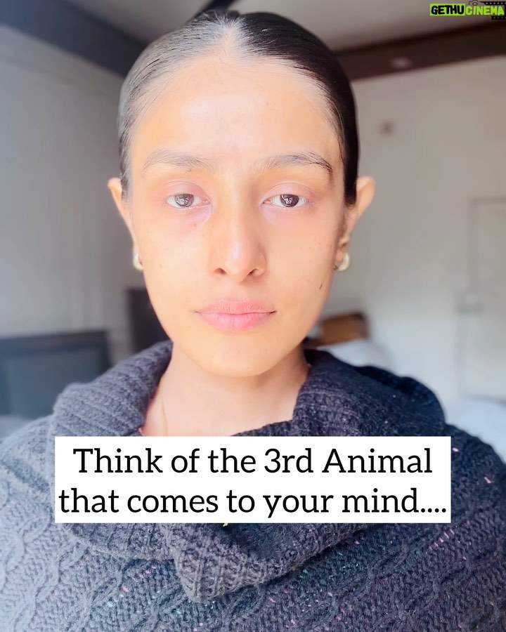 Nikitha P Khatri - 1.2K Likes - ‼️Save Post‼️Tag someone who need to play‼️
🔔Results in here🔔
1. The 1st Animal you chose is actually what you think about your self!
2.The 2nd Animal you chose is what others think of you.
3.The 3rd Animal you chose is what you actually are deep inside in reality.

i chose 1.Horse , 2.Lion , 3.Dog when i played it for the 1st time and wierdly it seemed so true to me...

What animals did you choose?🥰
Let me know in the comments below BUBs❤️