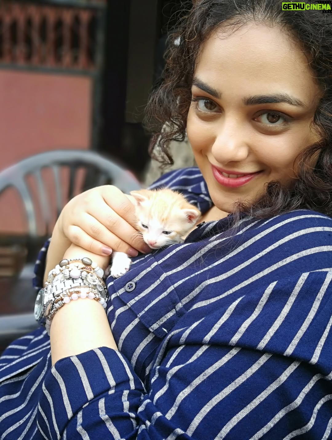Nithya Menen - 1.4 Million Likes - There are some moments (that come rarely) when I feel very nourished by a movie. Simply because it was real cinema… and I could engage the artist in me. I could really do the work that I was always meant to do , but get to do so little of :)
One of those movies is ‘Kolaambi’ directed by @tkrajeevkumar . And it is, to date, one of the few films I’ve done that I know will stand the test of time. Because art lives on and never gets old, and never changes. I still remember well, the day Rajeev sir came to see me in Bangalore at my home to talk to me about this film. It sounded like a real film. Like it had a beating heart. I didn’t need even a moment to think about it. 
And as I expected, I loved working on the film and the people there - The ‘Agrahaaram’ we shot in - where the people would greet us every morning as they went about their everyday routine. We were now just a part of their routine and they would treat us so casually- which I LOVED! No unnecessary intrusion, attention, excitement regarding films or actors or  shooting. What a dream that was- to go about our work normally. We made sure we were as respectful as possible too- keeping silence, eating vegetarian food and keeping the place clean . 
The spunky ‘Paati’ who kept me company while I was waiting in-between shots. She shared her home, her stories and most of all- her AC with us :D
After a week, I found our Line Producer Sujit Soman sitting on her dining table at the far end of her house, eating his meals. They let us do that. They shared everything. 
The river at the end of the road to the Agrahaaram that I would walk up to whenever I had some time . It was a dream to be so close to nature which, truth be told, is the thing I enjoy most. 
And our communal meals in that same restaurant in Fort Cochin! @iamsijoyvarghese @siddharth2121 @r_varman_ and I . We would put all the food in the middle and eat straight off the same bowl. I miss that very much. I felt like myself & I took away something big from it, thanks to Sijoy :)
I hope I have more of this in the days and years to come - these kind of films and these kind of people 🌺
@renji_panicker @rohinimolleti @dileeshpothan @resulpookutty @sabu_cyril