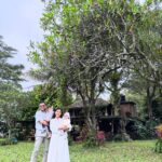 Novi Herlina
