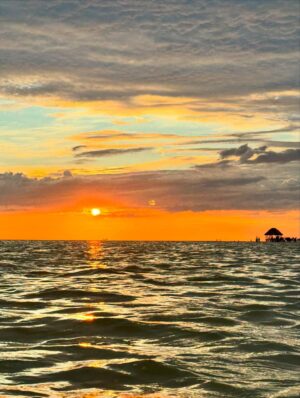 Océane Amsler Instagram - Petite pellicule du Mexique 🇲🇽 
Photo 1 : Face card dans l’eau 
Photo 2 : Méditation
Photo 3 : Coucher de soleil 
Photo 4 : Bronzer de blanc à blanc cassé
Photo 5 : Faire une marche arrière avec un chien
Photo 6 : Le pose noix de coco n’est pas assez grand
Photo 7 : Mélissa et son Chéri 
Photo 8 : On trouve des chihuahua errants. 
Photo 9 : Un gang de flamands roses 
Photo 10 : Des très beaux porte clefs 
Photo 11 : On ne gaspille pas le coco 
Photo 12 : Les rues de Holbox
Photo 13 : Pourquoi il y a des crocodiles?