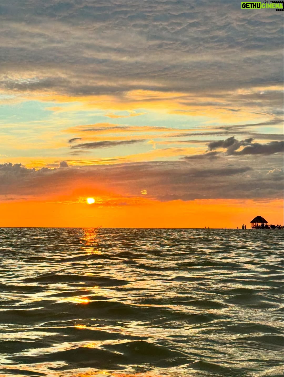 Océane Amsler - 160.8K Likes - Petite pellicule du Mexique 🇲🇽 
Photo 1 : Face card dans l’eau 
Photo 2 : Méditation
Photo 3 : Coucher de soleil 
Photo 4 : Bronzer de blanc à blanc cassé
Photo 5 : Faire une marche arrière avec un chien
Photo 6 : Le pose noix de coco n’est pas assez grand
Photo 7 : Mélissa et son Chéri 
Photo 8 : On trouve des chihuahua errants. 
Photo 9 : Un gang de flamands roses 
Photo 10 : Des très beaux porte clefs 
Photo 11 : On ne gaspille pas le coco 
Photo 12 : Les rues de Holbox
Photo 13 : Pourquoi il y a des crocodiles?