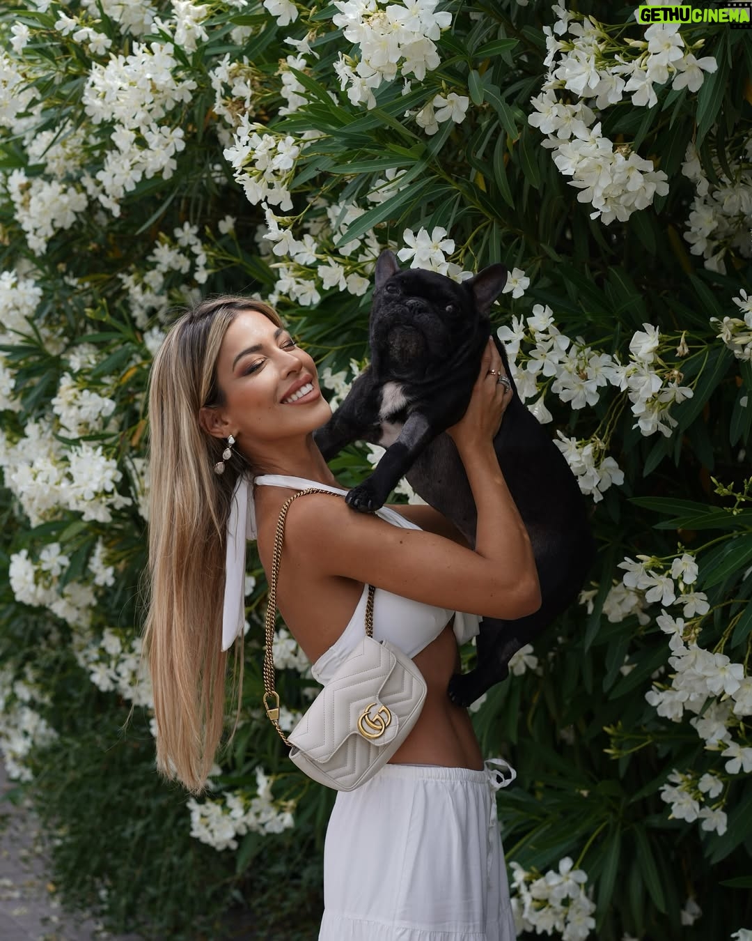 Oriana Marzoli - 569.9K Likes - Esto no es una despedida definitiva, es un hasta luego…💔 nos volveremos a ver en el cielo angelito 👼🏼 solo te pido que seas feliz allí, que nos veas y nos cuides desde arriba a mi madre y a mi🙏🏻 Eres el alma más pura que he conocido, un perrito tan bueno… 
Gracias por el regalo de haber estado en nuestras vidas, por darnos tan felicidad, y también por este último esfuerzo que hiciste para que pudiésemos despedirnos de ti😭

Qué perrito tan fuerte, qué orgullo, qué amor tan grande sentimos por ti❤️

Serás recordado hasta el último de mis días de vida, y si hubiese podido, hubiese dado mi vida por la tuya…
Queríamos que te fueras en paz, sin dolor, y creemos que así ha sido…sabiendo que lo diste todo por nosotras. Que no estábamos aún preparadas y esperaste un tiempo prudencial para hacernos entender que ya era tu momento…

Te amo con toda mi alma, recuerda lo mucho que te amamos y por favor danos fuerzas para seguir adelante🙏🏻❤️‍🩹

Por siempre, tú Cocco, el amor de mi vida* 🕯️🙏🏻❤️