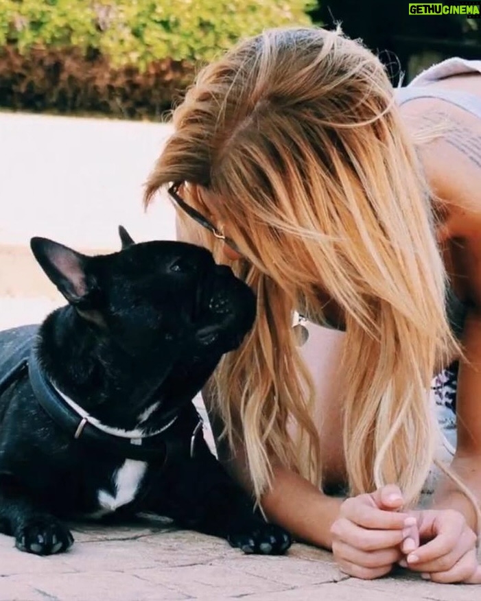 Oriana Marzoli - 569.9K Likes - Esto no es una despedida definitiva, es un hasta luego…💔 nos volveremos a ver en el cielo angelito 👼🏼 solo te pido que seas feliz allí, que nos veas y nos cuides desde arriba a mi madre y a mi🙏🏻 Eres el alma más pura que he conocido, un perrito tan bueno… 
Gracias por el regalo de haber estado en nuestras vidas, por darnos tan felicidad, y también por este último esfuerzo que hiciste para que pudiésemos despedirnos de ti😭

Qué perrito tan fuerte, qué orgullo, qué amor tan grande sentimos por ti❤️

Serás recordado hasta el último de mis días de vida, y si hubiese podido, hubiese dado mi vida por la tuya…
Queríamos que te fueras en paz, sin dolor, y creemos que así ha sido…sabiendo que lo diste todo por nosotras. Que no estábamos aún preparadas y esperaste un tiempo prudencial para hacernos entender que ya era tu momento…

Te amo con toda mi alma, recuerda lo mucho que te amamos y por favor danos fuerzas para seguir adelante🙏🏻❤️‍🩹

Por siempre, tú Cocco, el amor de mi vida* 🕯️🙏🏻❤️