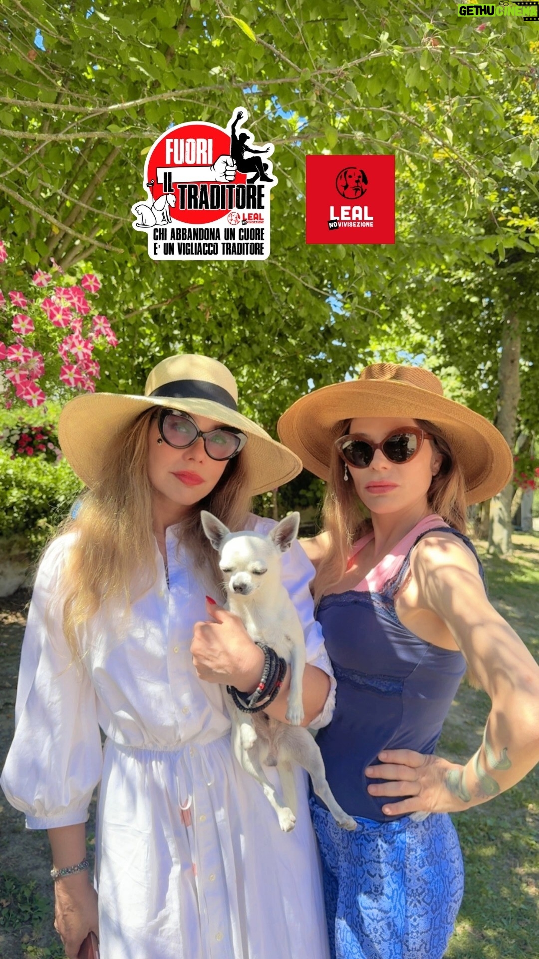 Ornella Muti - 3.8K Likes - Le amiamo per un sacco di cose, e soprattutto perchè difendono gli animali con passione come noi! Ornella Muti e Naike Rivelli per FUORI IL TRADITORE - LEAL

#fuoriiltraditore #noabbandono #vacanze2025 #animali