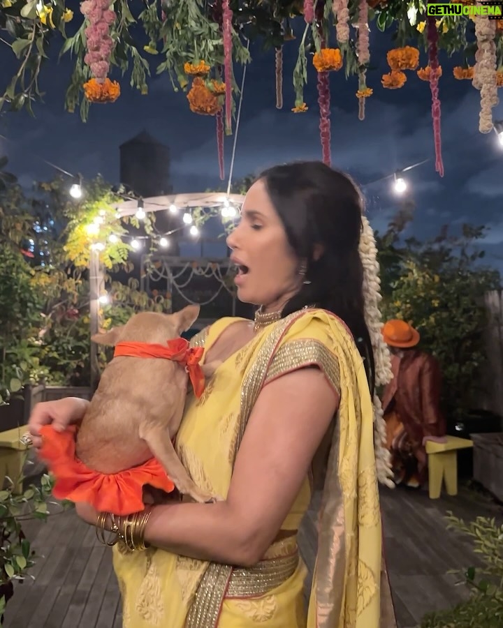 Padma Lakshmi - 43.9K Likes - Our hope is for light to triumph over the dark that so many around the world experienced this year. We hope to count our blessings and hope for lasting peace. Om shanti. 

Thank you to @loasisfloraldesign for the flowers,
@moghulcaterers for the food, and @arunnj25, @tablajazz and @deeceebanks for the music 🌹