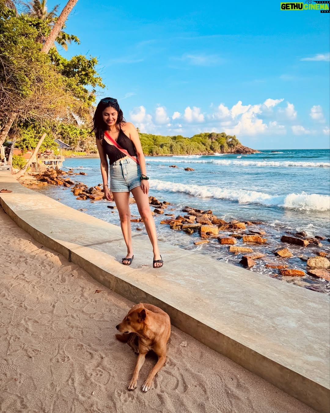 Pankti Shah - 7.5K Likes - Loves island life for 6 days! ❤️😌 Also hello doguuu partner 🐶

#happykid #wildchild #hiriketiyabeach #dancer #weirdo #littlethings #srilanka #panktishah #abundance #waterbaby #loveswater #naturetherapy