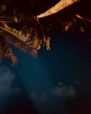 Pankti Shah Instagram - She’s a falling star burning in the night, she’s the shimmer on the water in an ocean of moonlight. 🌊❤️🌌
#hiriketiyabeach #srilanka #happykid #silence #peaceonearth #peaceful #srilankatravel #panktishah #travelnow