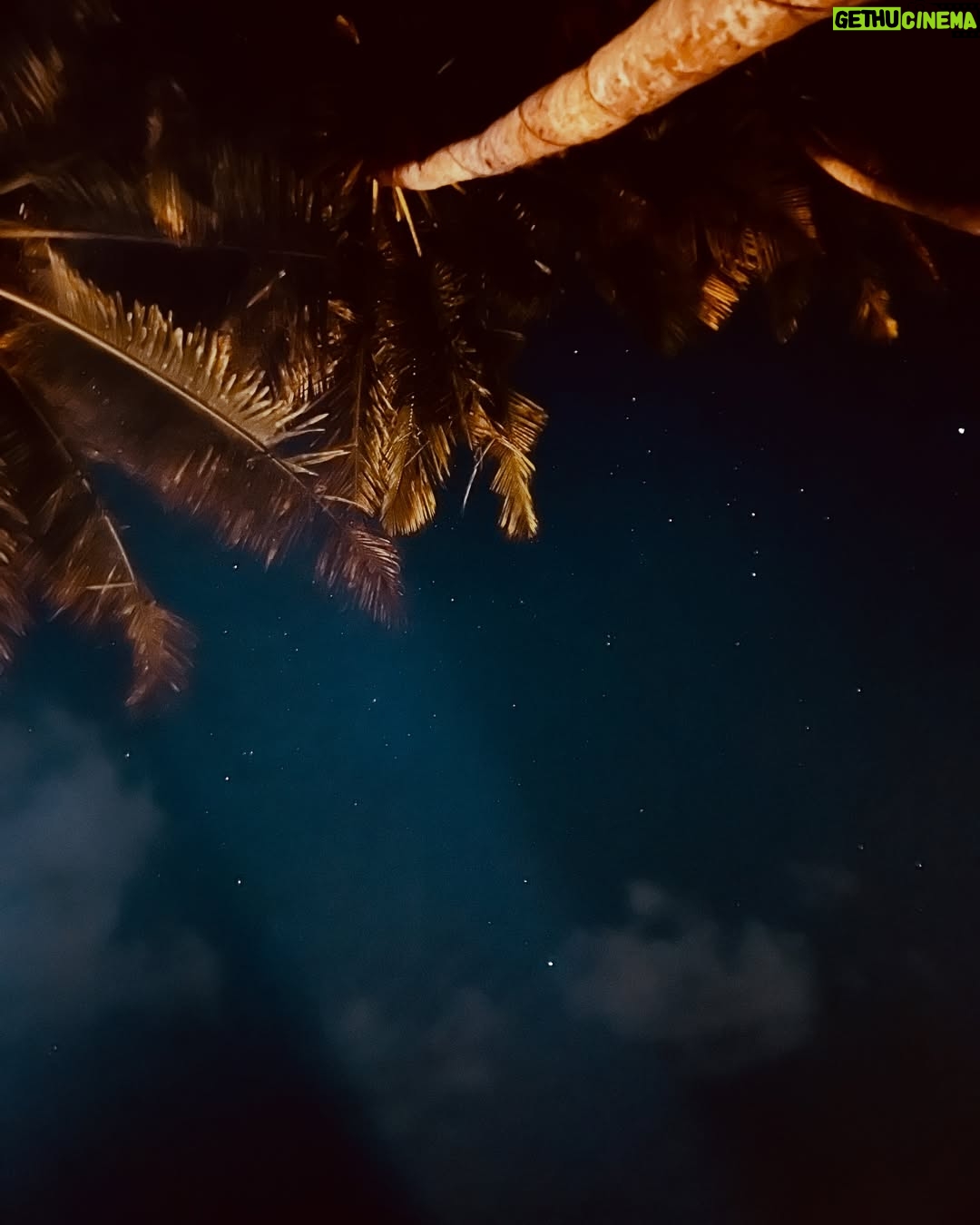Pankti Shah - 6.4K Likes - She’s a falling star burning in the night, she’s the shimmer on the water in an ocean of moonlight. 🌊❤️🌌

#hiriketiyabeach #srilanka #happykid #silence #peaceonearth #peaceful #srilankatravel #panktishah #travelnow