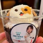 Park Jin-joo