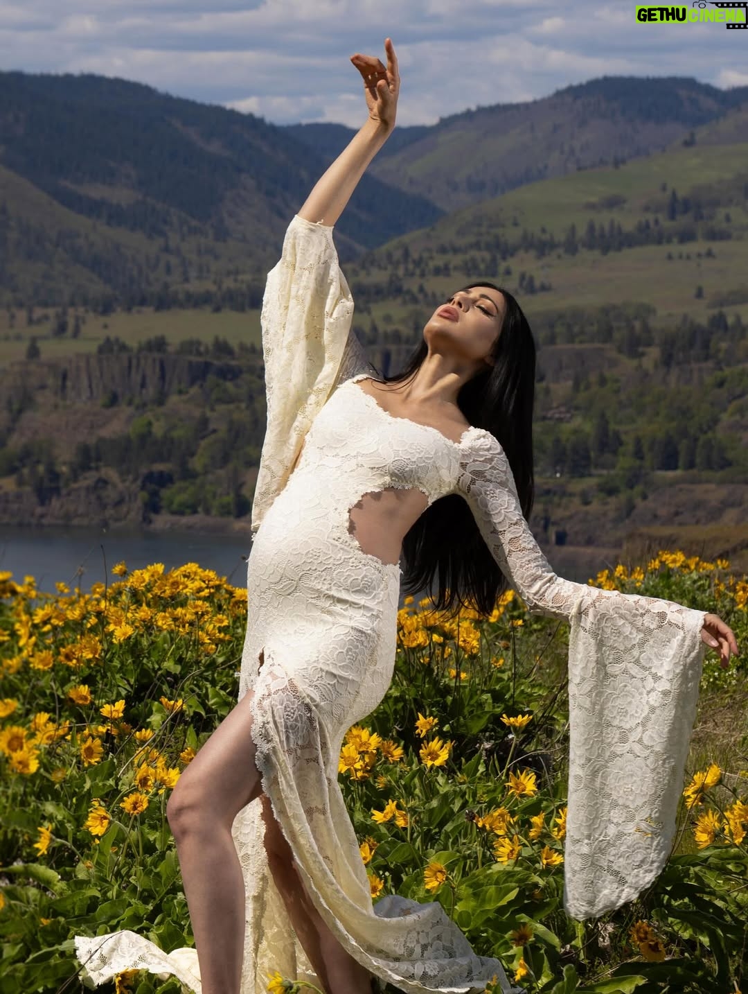 Parvati Melton - 46K Likes - The hills, the blooms, the breeze… all keeping time with the tiny heartbeat I carry… 
Photographer @xnilasx Dress @dollskill 
Follow my new journey 🔜 @nurturedbyparvati 🧿🪬🙏