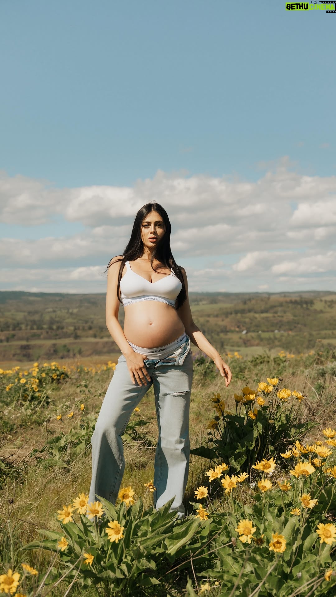 Parvati Melton - 3.6K Likes - #MaternityEditorial #PregnancyGlow #ModelMaternity #HighFashionMaternity #RunwayMuse #EditorialPregnancy #VogueInspired #FashionVisuals #LuxuryFashionPhotography #GlobalFashionVibes #DubaiEditorial #DubaiStyleScene #MiddleEastFashion #PNWFashion #PortlandModel #WestCoastEditorial #NYCFashionVibes #calvinklein #IndianFashionModel #BollywoodEditorial #TollywoodStarStyle #SouthIndianActressVibes #TamilActressStyle #TeluguActressLook #MollywoodEditorial #DesiModelLife #ChicMaternityFashion #LuxuryStyleMuse #CinematicFashion #FashionDreamscape