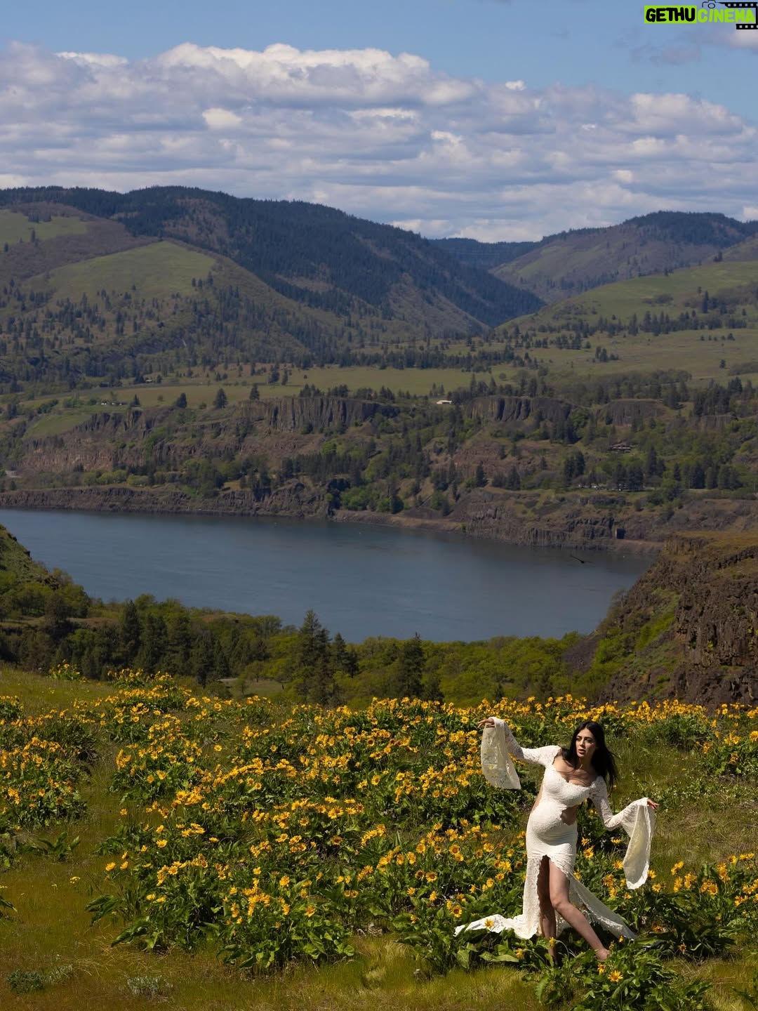 Parvati Melton - 46K Likes - The hills, the blooms, the breeze… all keeping time with the tiny heartbeat I carry… 
Photographer @xnilasx Dress @dollskill 
Follow my new journey 🔜 @nurturedbyparvati 🧿🪬🙏