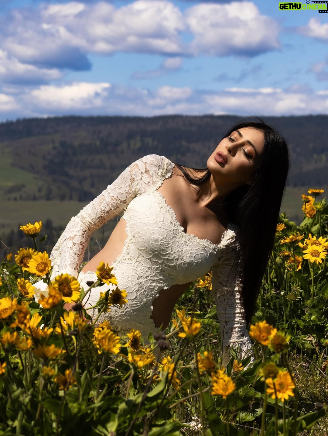 Parvati Melton - 46K Likes - The hills, the blooms, the breeze… all keeping time with the tiny heartbeat I carry… 
Photographer @xnilasx Dress @dollskill 
Follow my new journey 🔜 @nurturedbyparvati 🧿🪬🙏