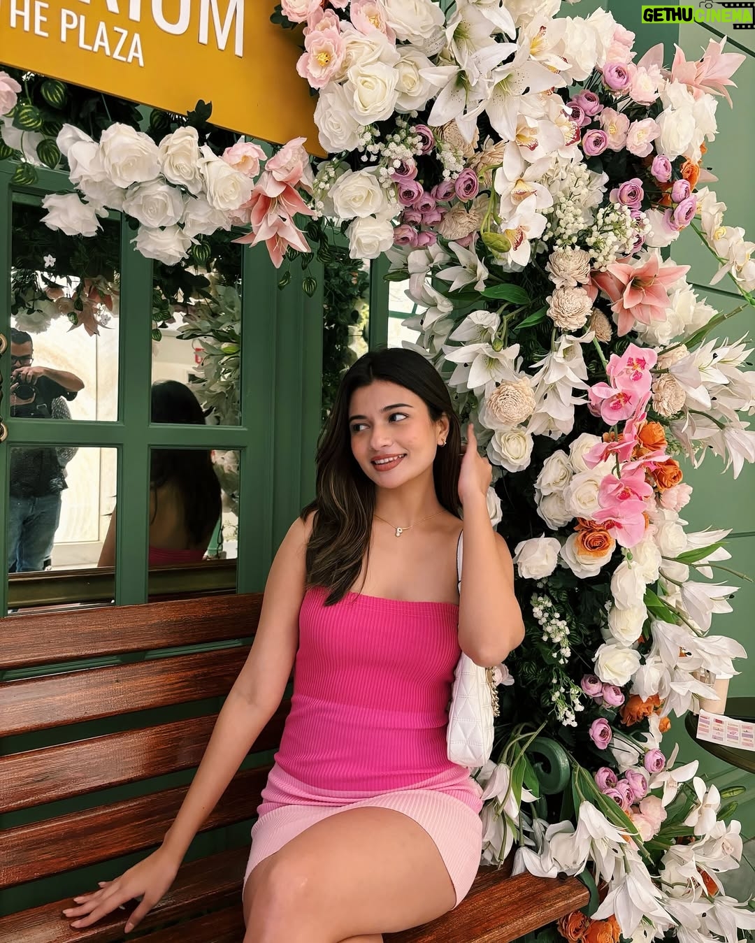 Parvi Sharma - 16.8K Likes - Objects in pink are prettier than they appear🌸🧁

#foryou #foryoupage #explorepage #explore #fyp
