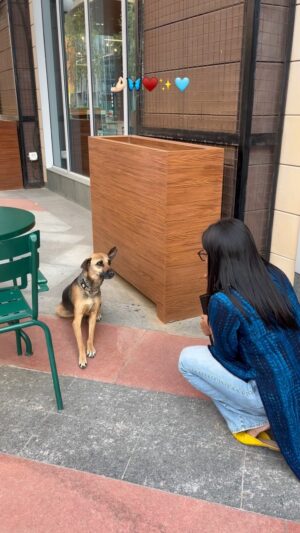 Pavithra Gowda Instagram - I met new Friend Today😅
#pavigowda♥️ #kannada #trendingreels #foryou #dailyvlog
