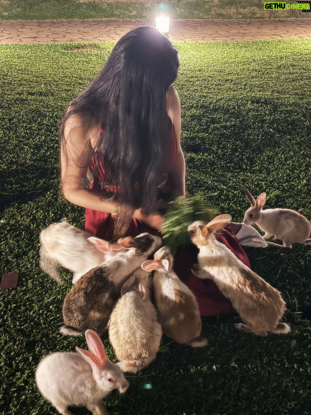 Pearl Malhotra - 2.9K Likes - I  keep on learning aboyt life and love from mother , observing the beautiful geometry,the slow movements of nature,  carefully listening to the birds and their sound , connecting and meditating in presence of mother. Mother Earth holds us gently, grounding our spirit in her embrace. When we connect with her through kindness, every breath feels lighter, every step rooted in truth. The soil, the trees, the rivers—each carries the universe’s frequency, reminding us we are never separate but part of her eternal flow. Walking barefoot, feeling her pulse, we return to balance, to love, to presence. In her energy we rise, vibrating with the sacred song of the cosmos, mother how beautiful you are .❤️