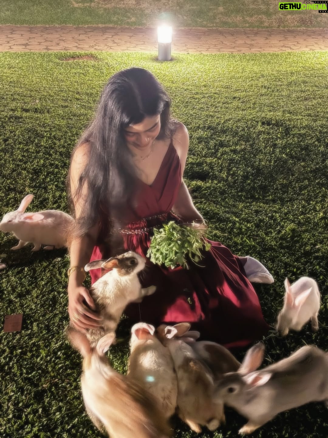 Pearl Malhotra - 2.9K Likes - I  keep on learning aboyt life and love from mother , observing the beautiful geometry,the slow movements of nature,  carefully listening to the birds and their sound , connecting and meditating in presence of mother. Mother Earth holds us gently, grounding our spirit in her embrace. When we connect with her through kindness, every breath feels lighter, every step rooted in truth. The soil, the trees, the rivers—each carries the universe’s frequency, reminding us we are never separate but part of her eternal flow. Walking barefoot, feeling her pulse, we return to balance, to love, to presence. In her energy we rise, vibrating with the sacred song of the cosmos, mother how beautiful you are .❤️