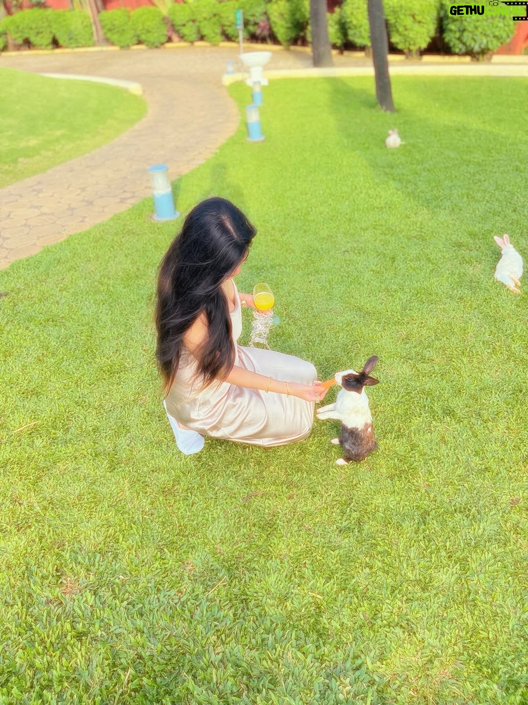 Pearl Malhotra - 3K Likes - Finding god in every Ray of the sun that falls✨❤️