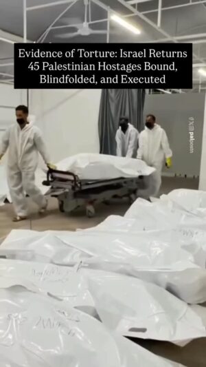Pearl Thusi Instagram - The bodies you won’t see on mainstream media Palestinian hostages returned by Israel, many showing signs of torture, execution, and mutilation. CNN confirms: all 45 were handcuffed, some blindfolded, and several run over by tanks.

جثث لن تراها في وسائل الإعلام الرئيسية - رهائن فلسطينيون أعادتهم إسرائيل، تحمل العديد منهم علامات تعذيب وإعدام وتشويه. تؤكد شبكة CNN أن جميع الجثث الـ 45 كانت مقيدة الأيدي، وبعضها معصوب العينين، والعديد منها دهستها الدبابات.