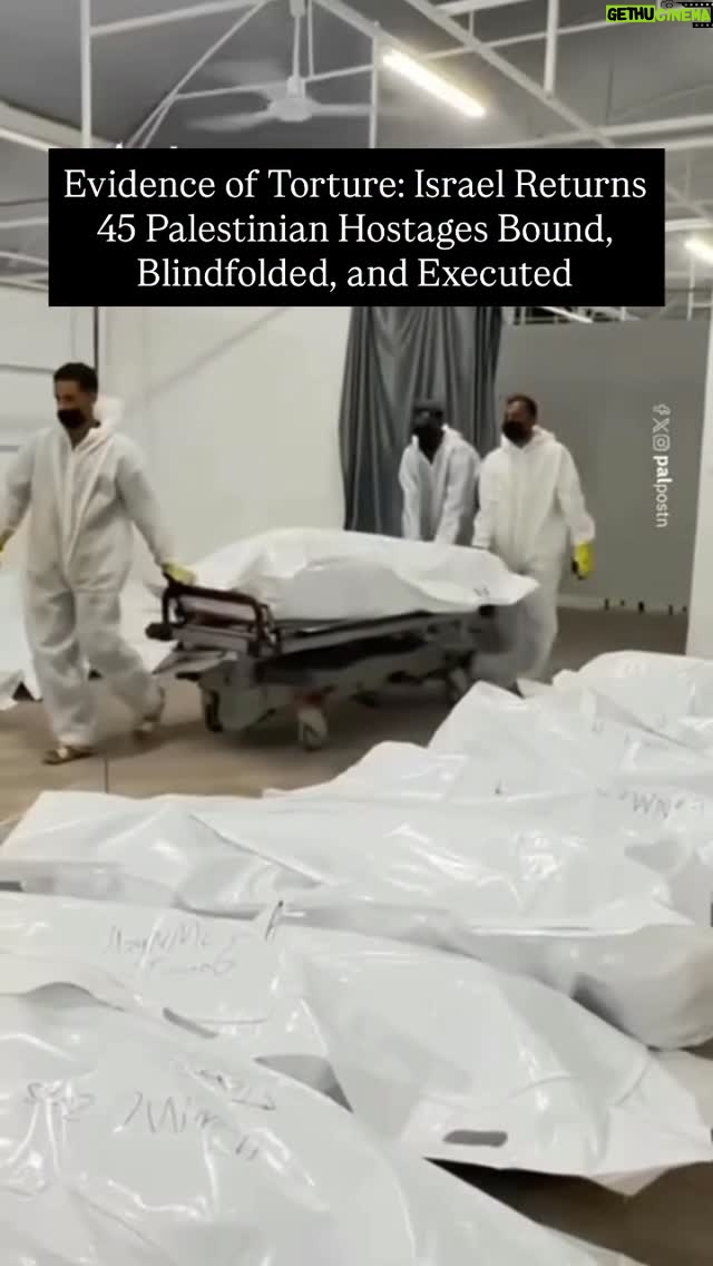 Pearl Thusi - 128K Likes - The bodies you won’t see on mainstream media Palestinian hostages returned by Israel, many showing signs of torture, execution, and mutilation. CNN confirms: all 45 were handcuffed, some blindfolded, and several run over by tanks.

جثث لن تراها في وسائل الإعلام الرئيسية - رهائن فلسطينيون أعادتهم إسرائيل، تحمل العديد منهم علامات تعذيب وإعدام وتشويه. تؤكد شبكة CNN أن جميع الجثث الـ 45 كانت مقيدة الأيدي، وبعضها معصوب العينين، والعديد منها دهستها الدبابات.