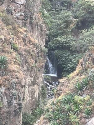 Pierina Carcelén Instagram - Agua, mucha agua = mucha bendición 🩵
Un regalo haberme traído hasta este paraíso en la sierra limeña. Gratitud a los guardianes de esta mágica ruta de tanta agüita y viento, de sol brillante y poderosas montañas. Que mas se puede pedir ?
#lamagiadeloselementos #mamanaturaleza #pachamamita #sierralimeña #autocuidado #metengo #mesostengo #meescucho #mehagocargo #meamo #escapadasurbanas