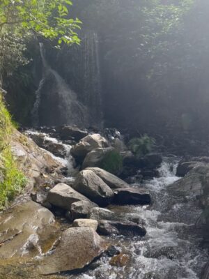 Pierina Carcelén Instagram - Agua, mucha agua = mucha bendición 🩵
Un regalo haberme traído hasta este paraíso en la sierra limeña. Gratitud a los guardianes de esta mágica ruta de tanta agüita y viento, de sol brillante y poderosas montañas. Que mas se puede pedir ?
#lamagiadeloselementos #mamanaturaleza #pachamamita #sierralimeña #autocuidado #metengo #mesostengo #meescucho #mehagocargo #meamo #escapadasurbanas