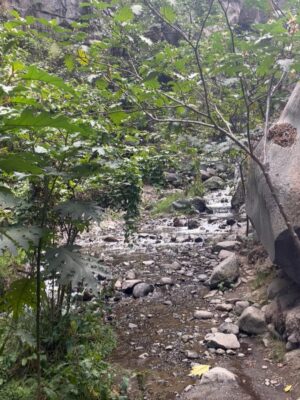 Pierina Carcelén Instagram - Agua, mucha agua = mucha bendición 🩵
Un regalo haberme traído hasta este paraíso en la sierra limeña. Gratitud a los guardianes de esta mágica ruta de tanta agüita y viento, de sol brillante y poderosas montañas. Que mas se puede pedir ?
#lamagiadeloselementos #mamanaturaleza #pachamamita #sierralimeña #autocuidado #metengo #mesostengo #meescucho #mehagocargo #meamo #escapadasurbanas