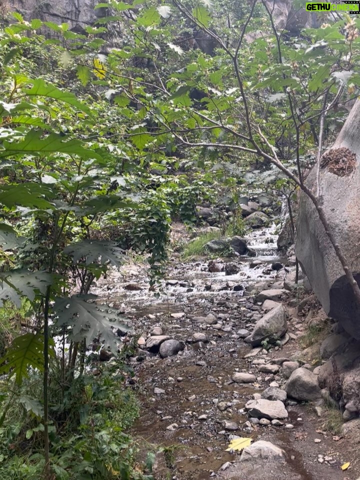Pierina Carcelén - 5.3K Likes - Agua, mucha agua = mucha bendición 🩵
Un regalo haberme traído hasta este paraíso en la sierra limeña. Gratitud a los guardianes de esta mágica ruta de tanta agüita y viento, de sol brillante y poderosas montañas. Que mas se puede pedir ? 

#lamagiadeloselementos #mamanaturaleza #pachamamita #sierralimeña #autocuidado #metengo #mesostengo #meescucho #mehagocargo #meamo #escapadasurbanas