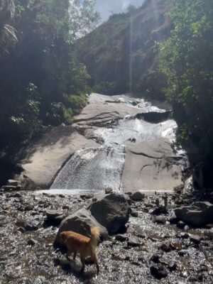 Pierina Carcelén Instagram - Agua, mucha agua = mucha bendición 🩵
Un regalo haberme traído hasta este paraíso en la sierra limeña. Gratitud a los guardianes de esta mágica ruta de tanta agüita y viento, de sol brillante y poderosas montañas. Que mas se puede pedir ?
#lamagiadeloselementos #mamanaturaleza #pachamamita #sierralimeña #autocuidado #metengo #mesostengo #meescucho #mehagocargo #meamo #escapadasurbanas