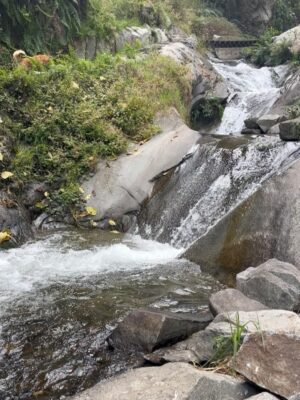 Pierina Carcelén Instagram - Agua, mucha agua = mucha bendición 🩵
Un regalo haberme traído hasta este paraíso en la sierra limeña. Gratitud a los guardianes de esta mágica ruta de tanta agüita y viento, de sol brillante y poderosas montañas. Que mas se puede pedir ?
#lamagiadeloselementos #mamanaturaleza #pachamamita #sierralimeña #autocuidado #metengo #mesostengo #meescucho #mehagocargo #meamo #escapadasurbanas
