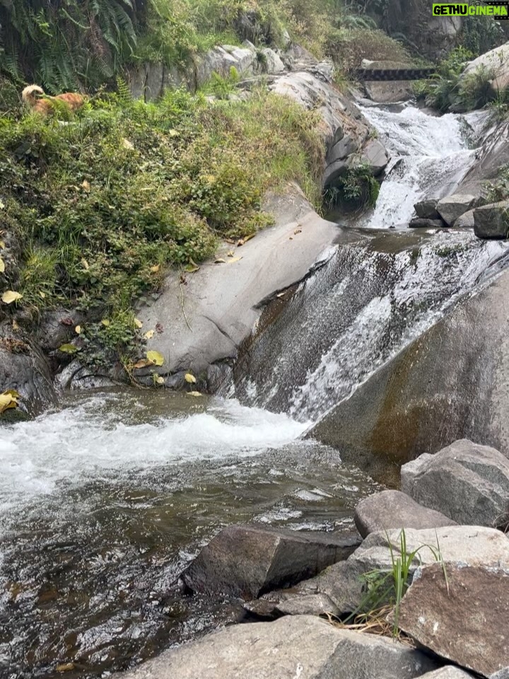 Pierina Carcelén - 5.3K Likes - Agua, mucha agua = mucha bendición 🩵
Un regalo haberme traído hasta este paraíso en la sierra limeña. Gratitud a los guardianes de esta mágica ruta de tanta agüita y viento, de sol brillante y poderosas montañas. Que mas se puede pedir ? 

#lamagiadeloselementos #mamanaturaleza #pachamamita #sierralimeña #autocuidado #metengo #mesostengo #meescucho #mehagocargo #meamo #escapadasurbanas