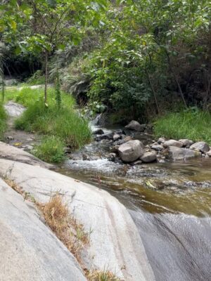 Pierina Carcelén Instagram - Agua, mucha agua = mucha bendición 🩵
Un regalo haberme traído hasta este paraíso en la sierra limeña. Gratitud a los guardianes de esta mágica ruta de tanta agüita y viento, de sol brillante y poderosas montañas. Que mas se puede pedir ?
#lamagiadeloselementos #mamanaturaleza #pachamamita #sierralimeña #autocuidado #metengo #mesostengo #meescucho #mehagocargo #meamo #escapadasurbanas